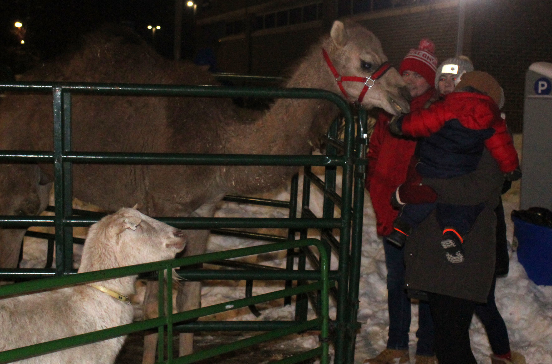 Menomonie WinterDaze Parade 12-12-19